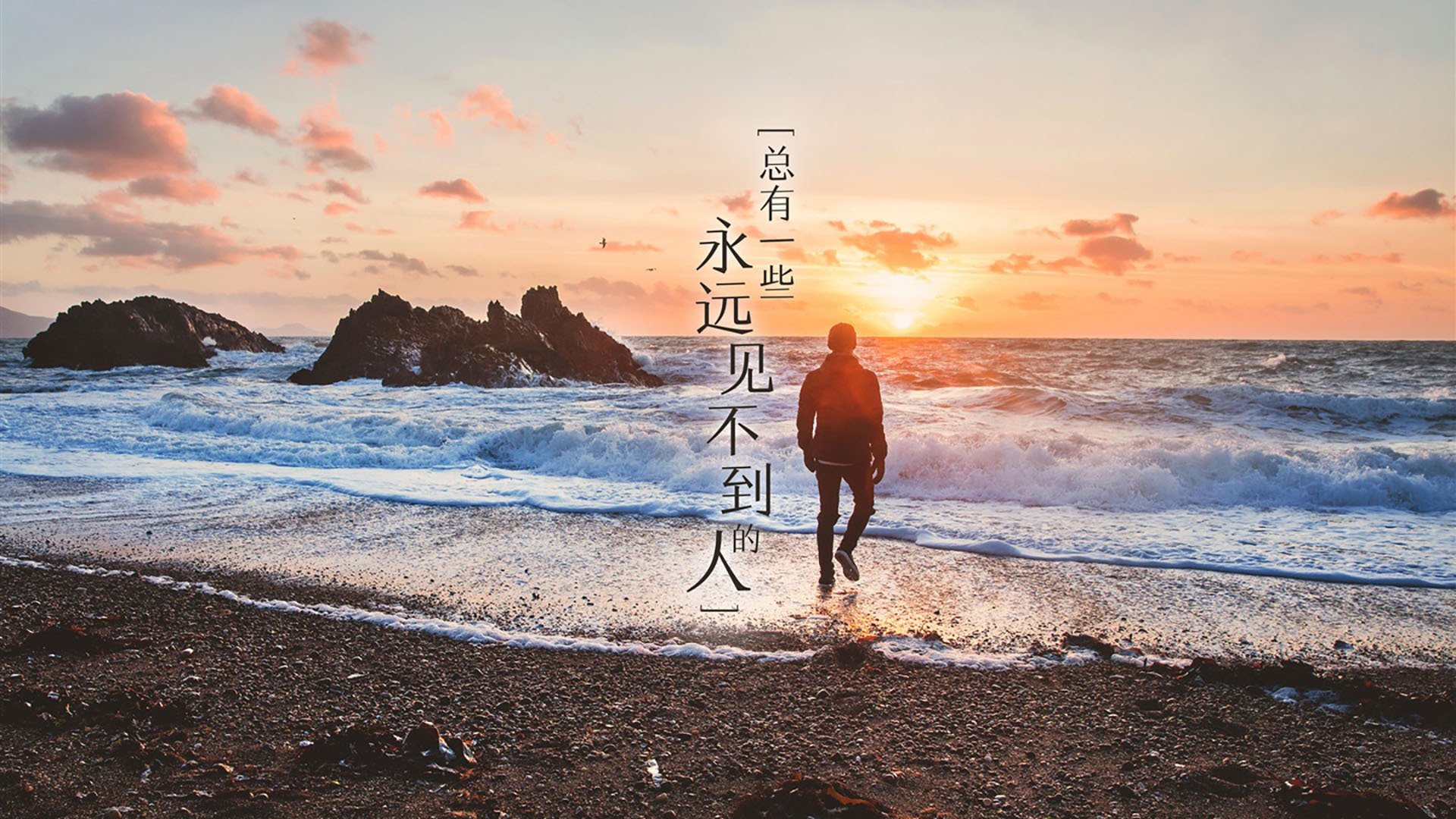 开云-瑞士马术队在巴黎奥运会三项赛中获得第五名，表现出色。，马术瑞典