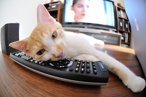 开云官方网页登录-激情澎湃：热火与鹈鹕的大战备受关注，鹈鹕热火季前赛全场回放