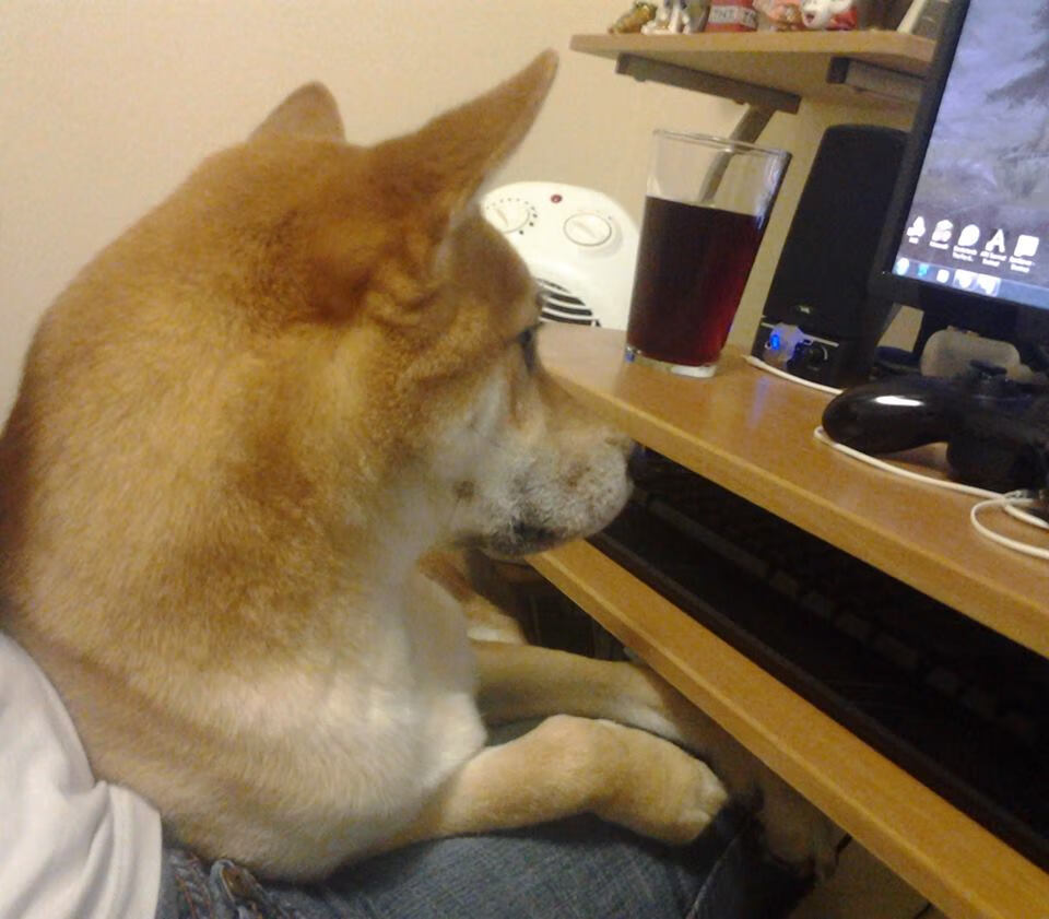 西汉姆联中场调度灵活,铁锤帮争夺欧战,西汉姆联战术