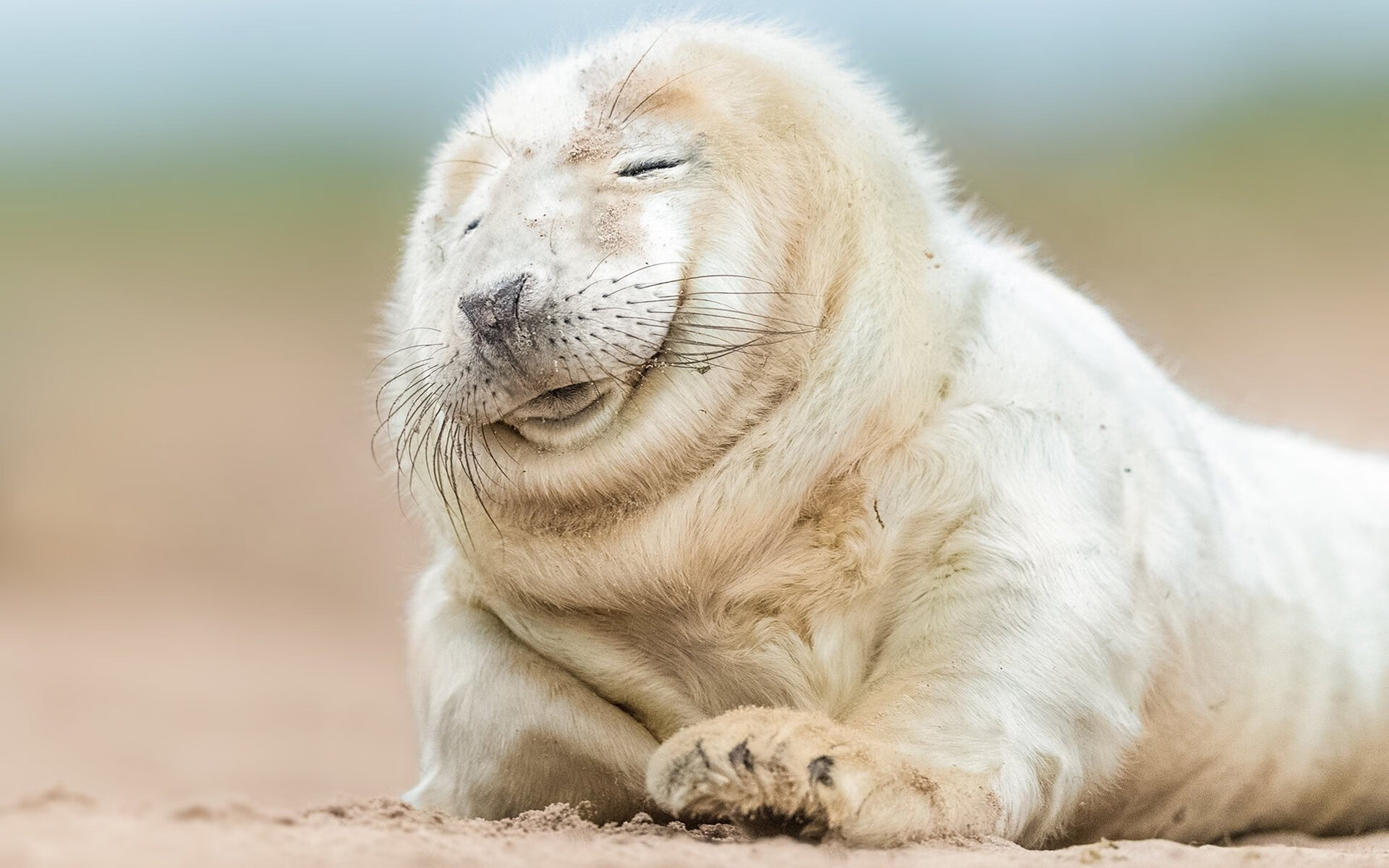 队内气氛融洽,团结奋战迎接挑战,团结队队呼