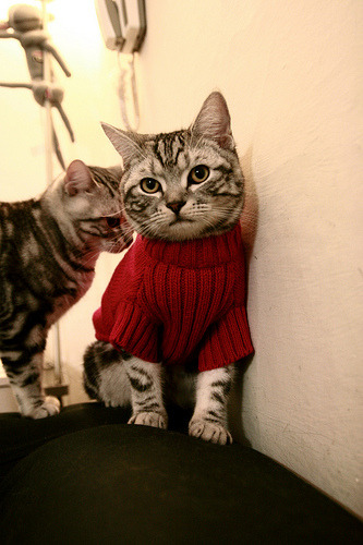 切尔西保持稳定，展望欧洲赛场更进一步，切尔西 欧冠