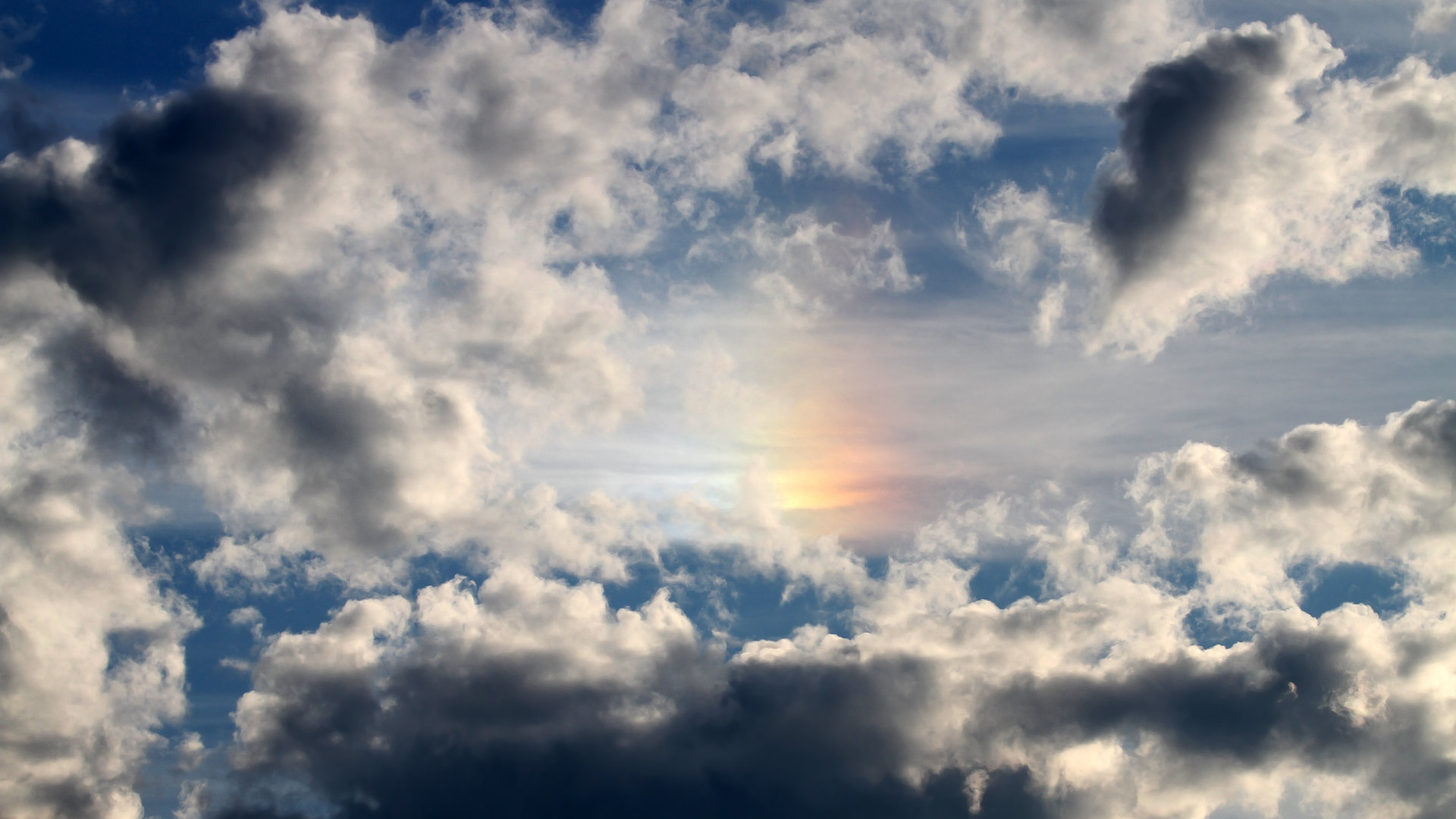 分段数据揭示冠军选手节奏奥秘