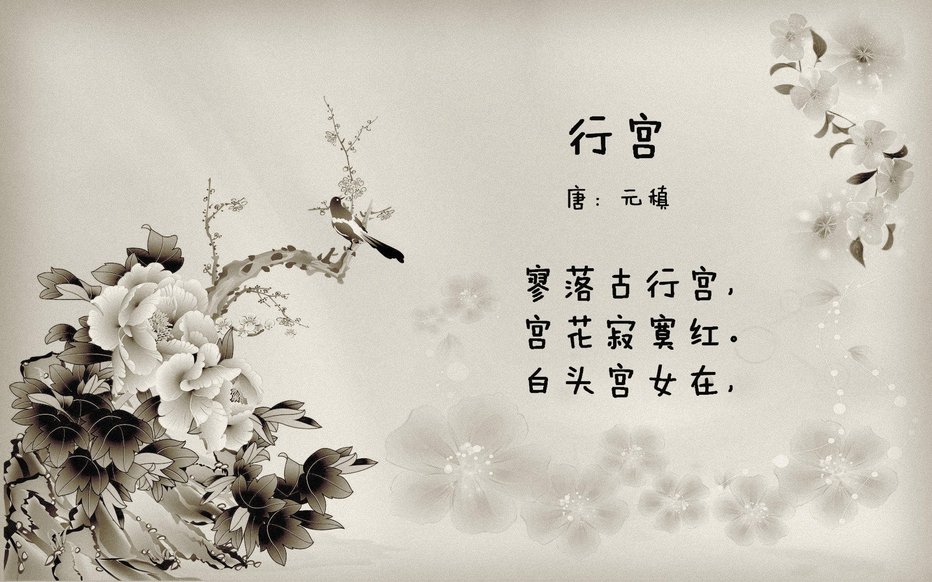 “马丁·高尔西的成长与突破,推动阿根廷美洲狮队逐步成为世界强队”