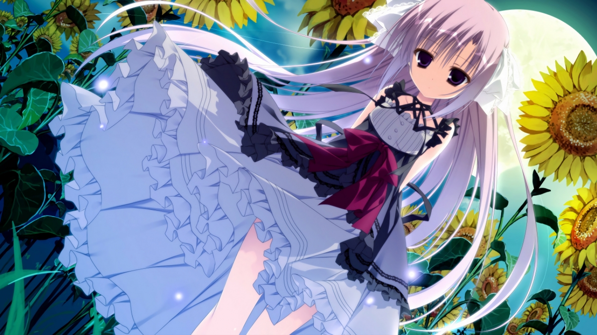 保利娜·普费夫完美入水赢得喝彩,保加利亚普罗夫迪夫音乐舞蹈美术学院