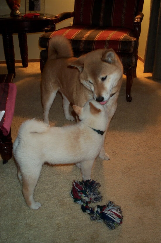 开云官网登录-克莱尔·柯尔赞赛后谈备战心得，克莱尔克