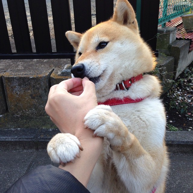 开云入口-湖人助教接受采访谈战术细节，湖人引援工作