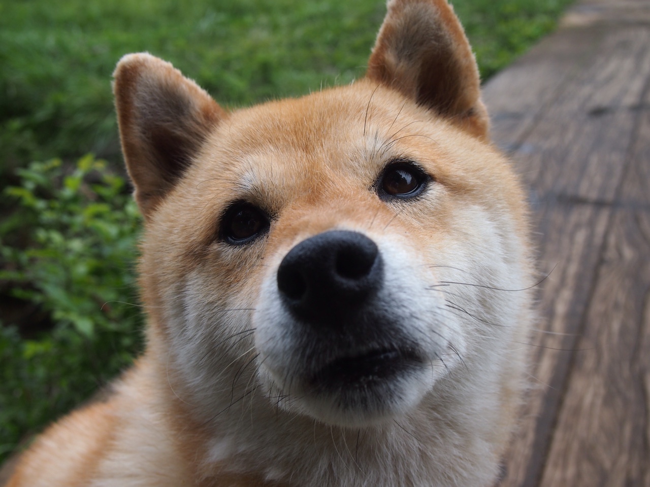 电子竞技产业链完善推动职业化发展,电子竞技产业链完善推动职业化发展的意义