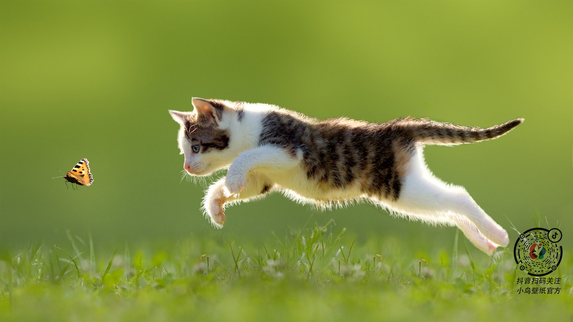 kaiyun.com-瑞·弗兰：凭借出色的反应和快速的脚步，他成为全黑队的“进攻催化剂”