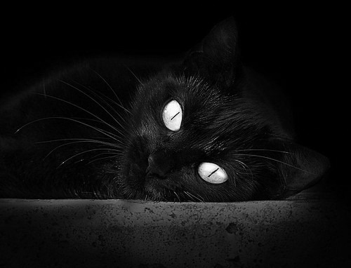 开云·Kaiyun网页版-羽毛球混双国羽组合晋级四强，国羽混双名单