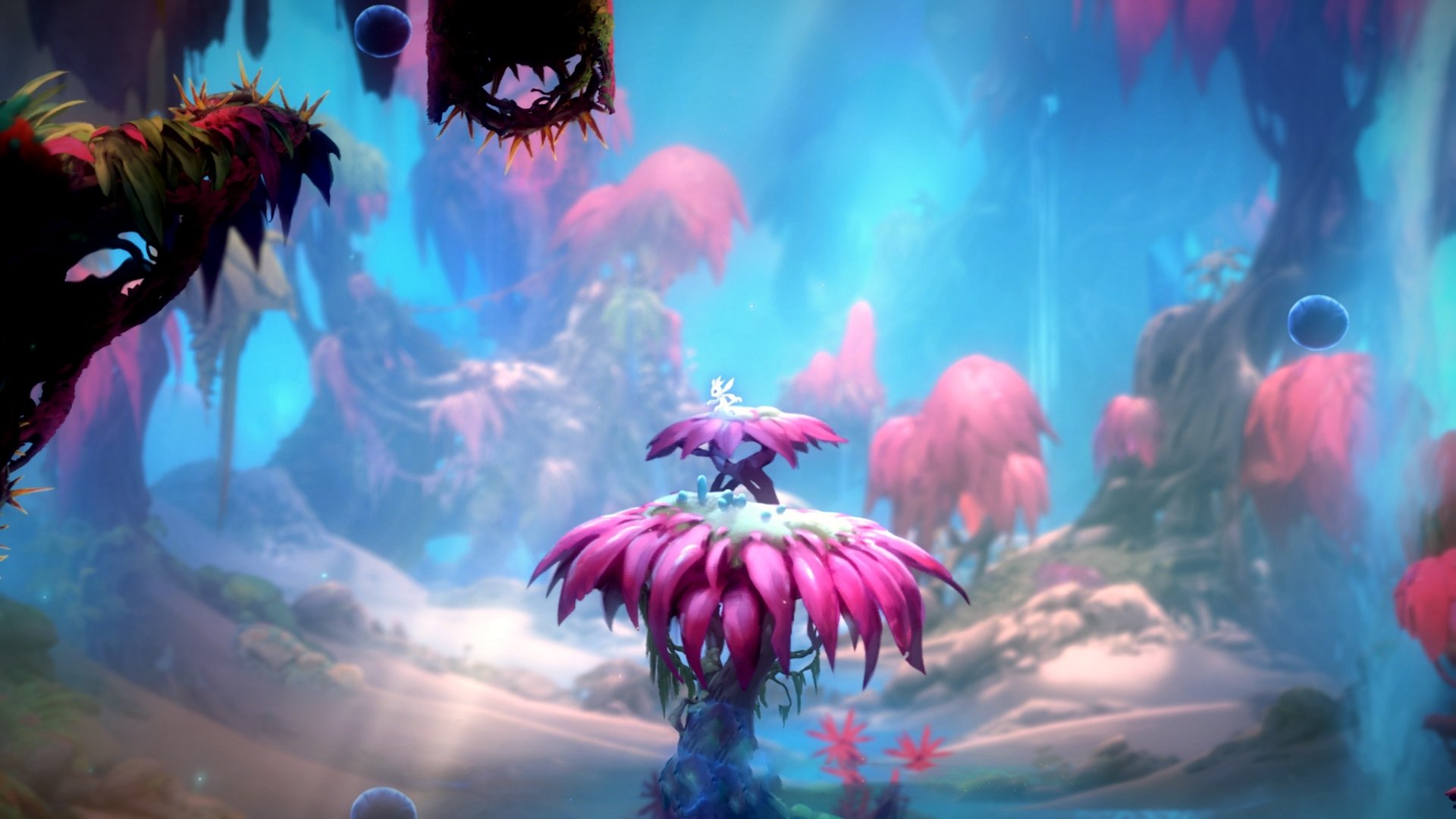 开云网页版-英超激烈竞争：比赛中见证奇迹发生，英超比赛分析