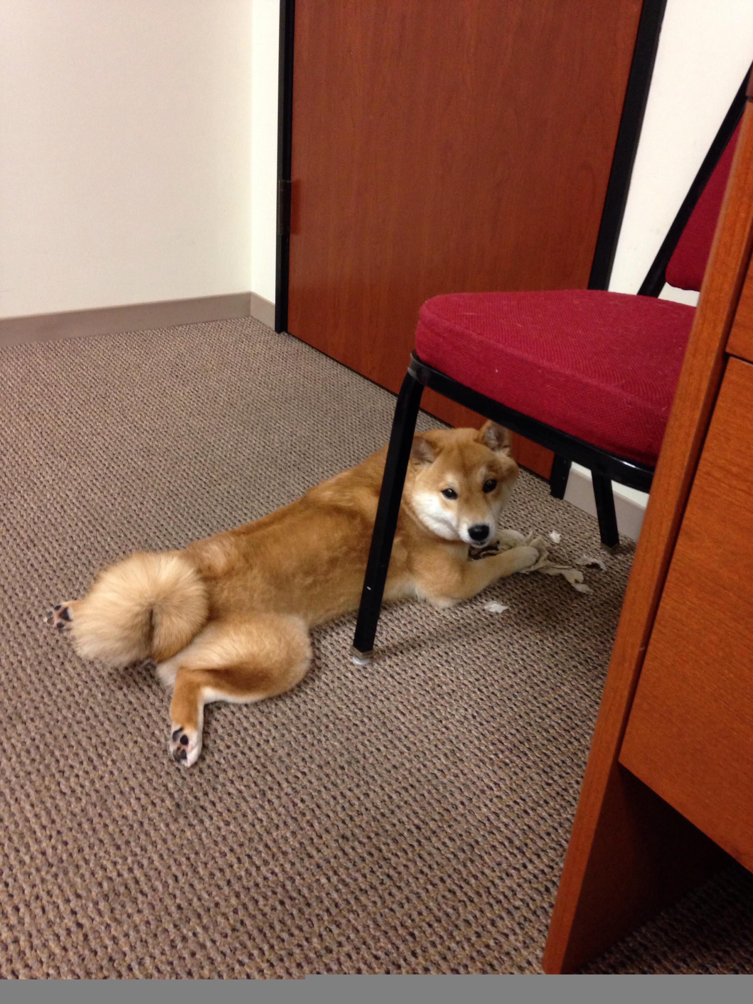 KAIYUNAPP-裁判员体能考核标准提高，执法质量同步提升，裁判员素质